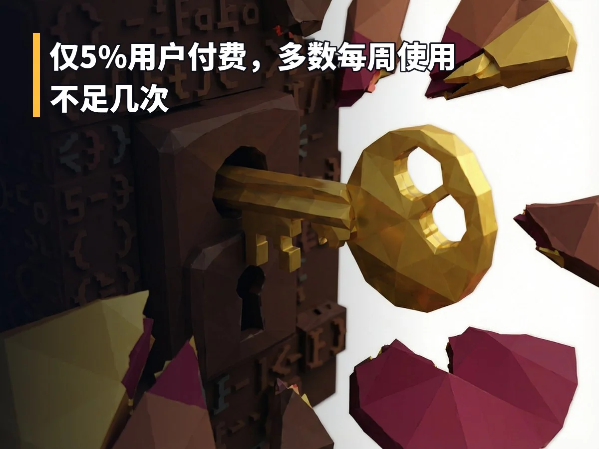 仅5%用户付费,多数每周使用不足几次