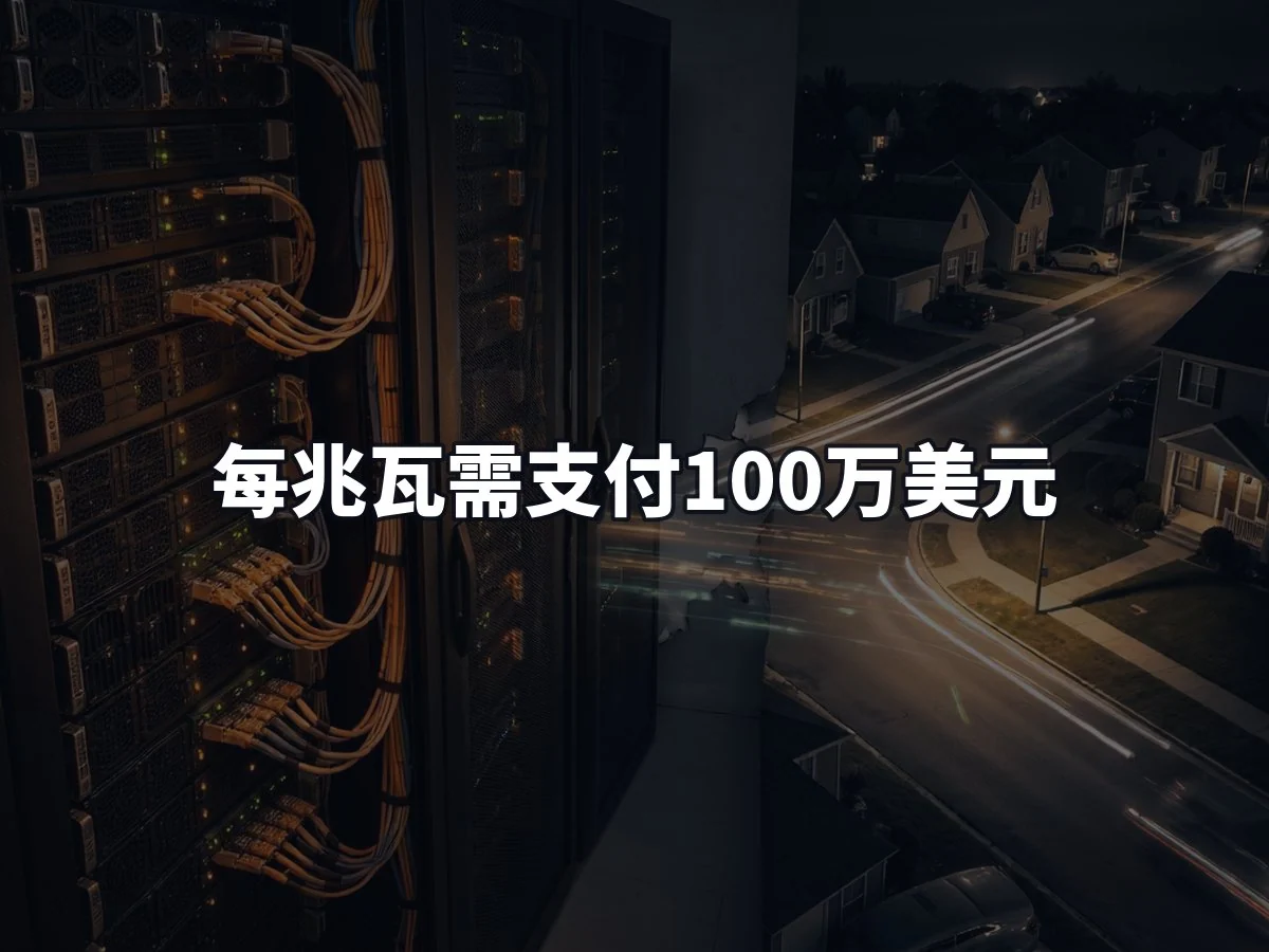 每兆瓦需支付100万美元