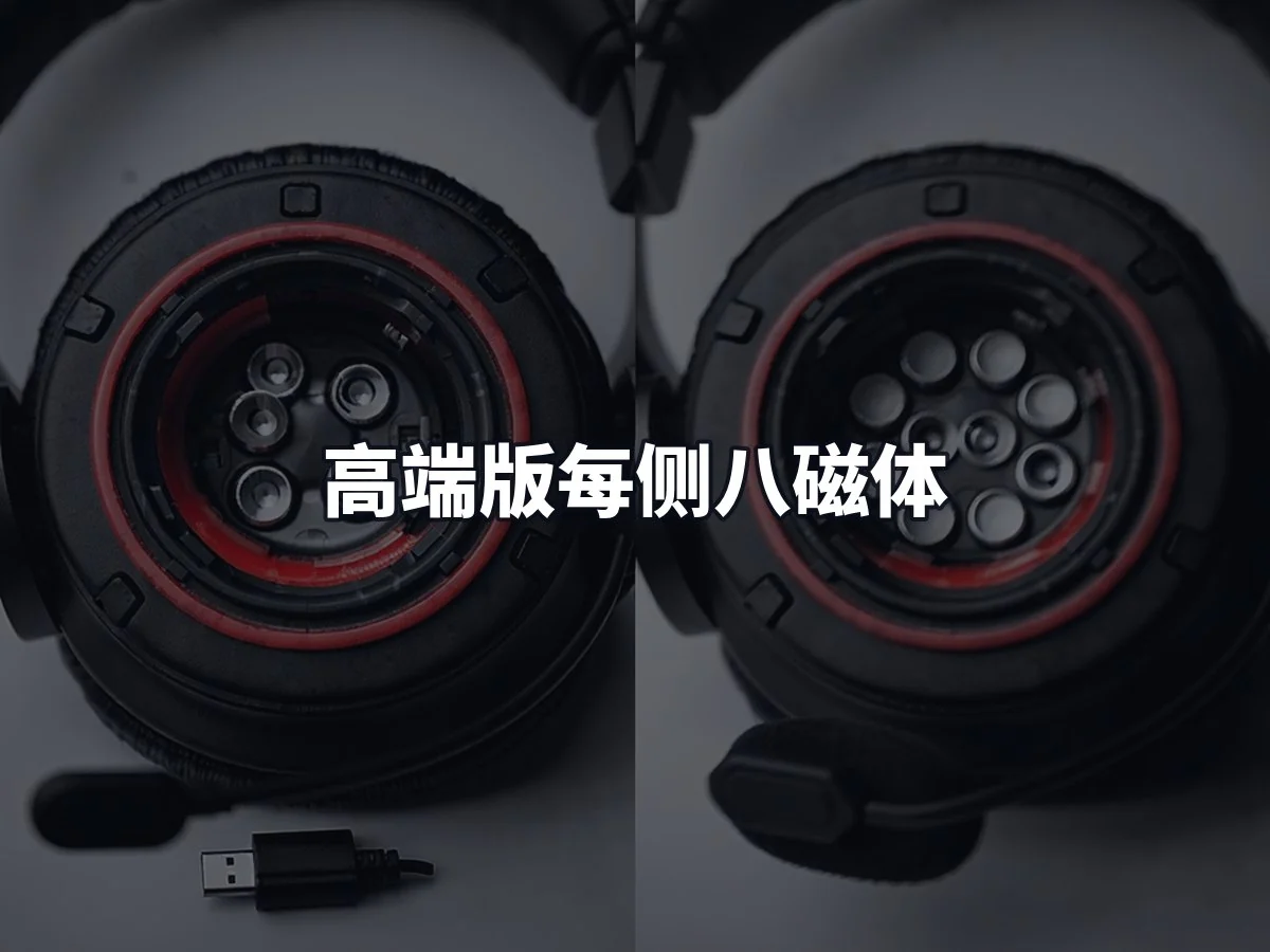 高端版每侧八磁体