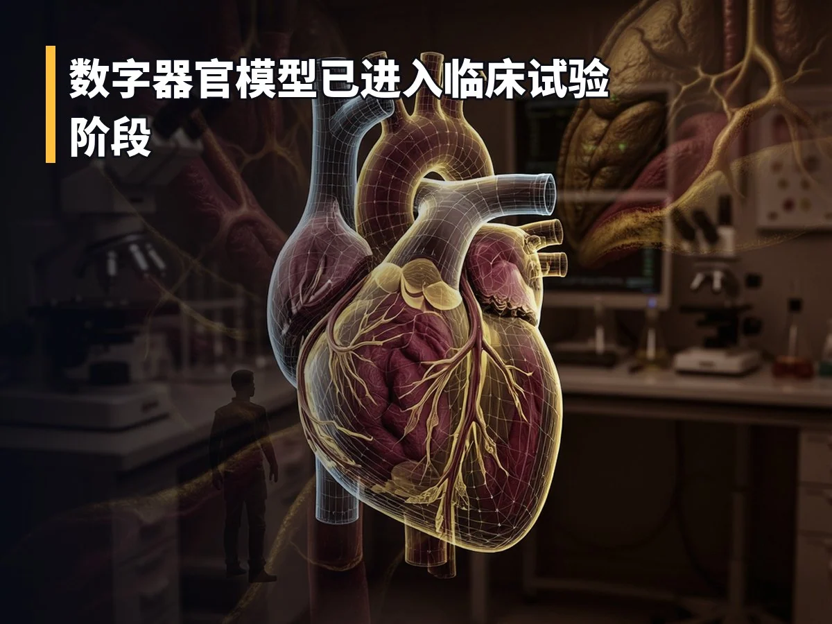 数字器官模型已进入临床试验阶段