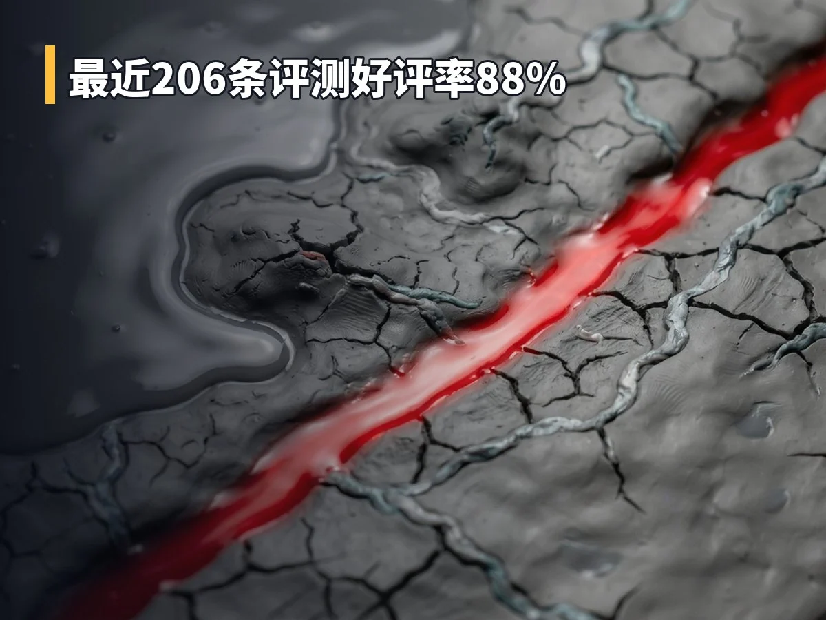 最近206条评测好评率88%