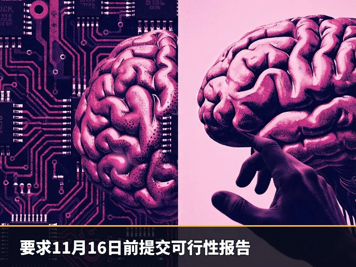 要求11月16日前提交可行性报告