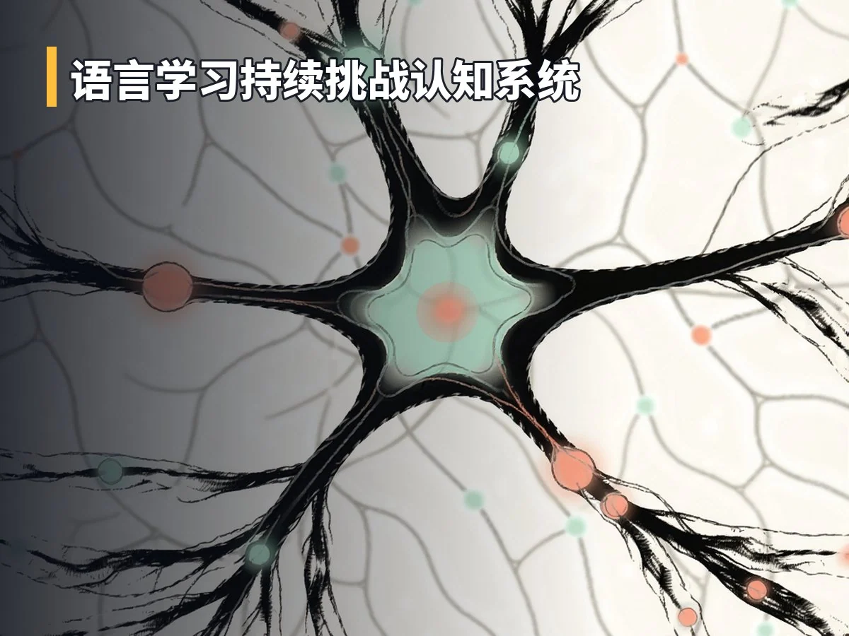 语言学习持续挑战认知系统
