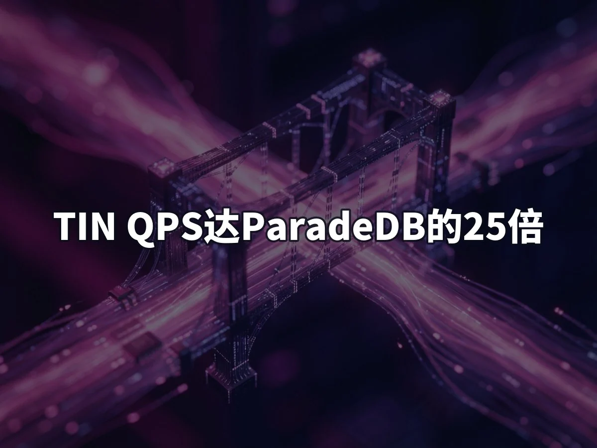 TIN QPS达ParadeDB的25倍