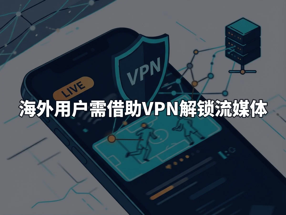 海外用户需借助VPN解锁流媒体
