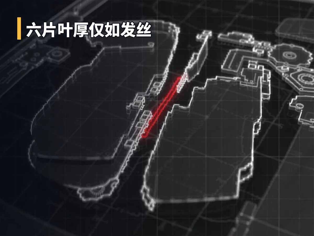 六片叶厚仅如发丝