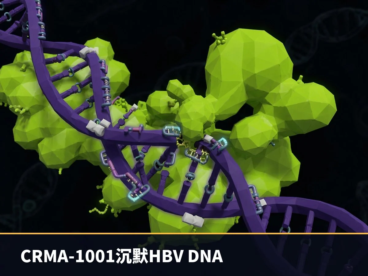 CRMA-1001沉默HBV DNA