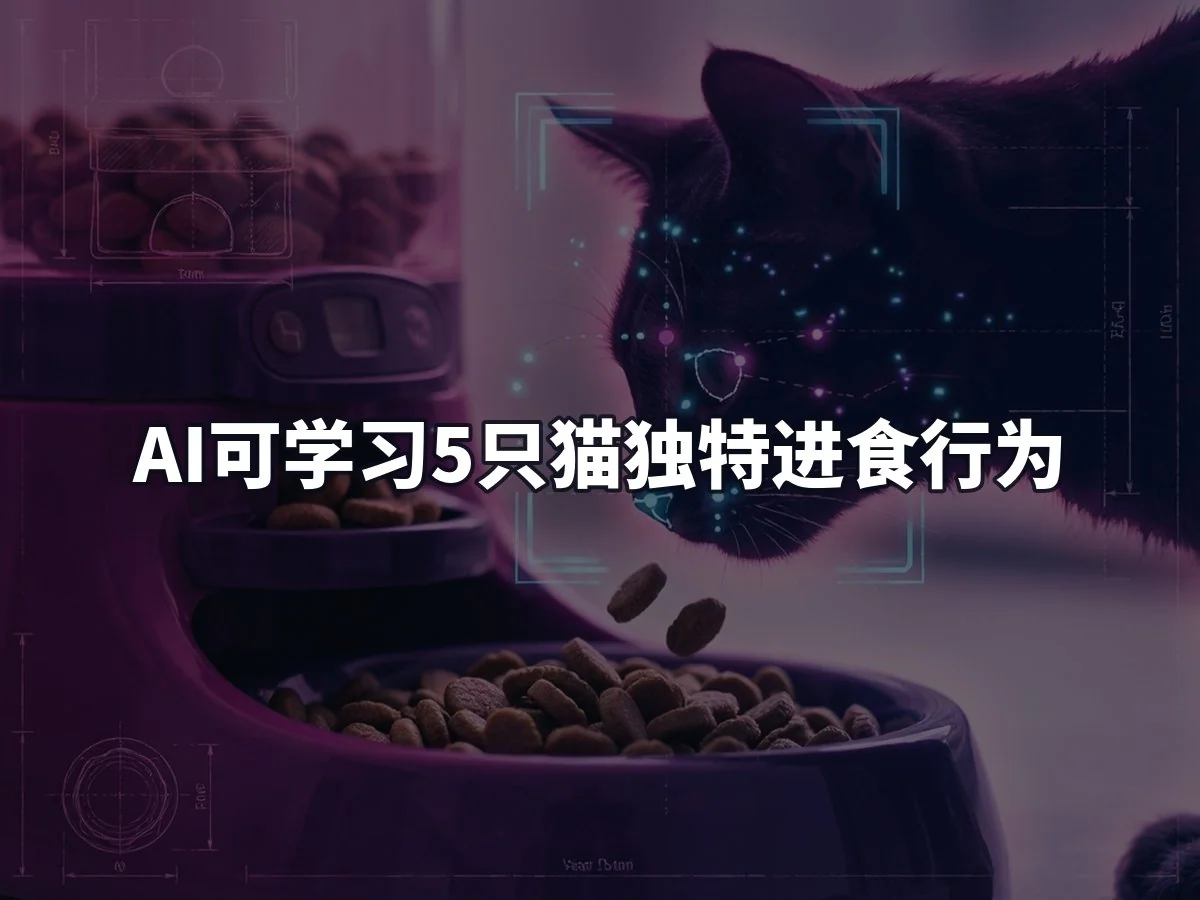 AI可学习5只猫独特进食行为