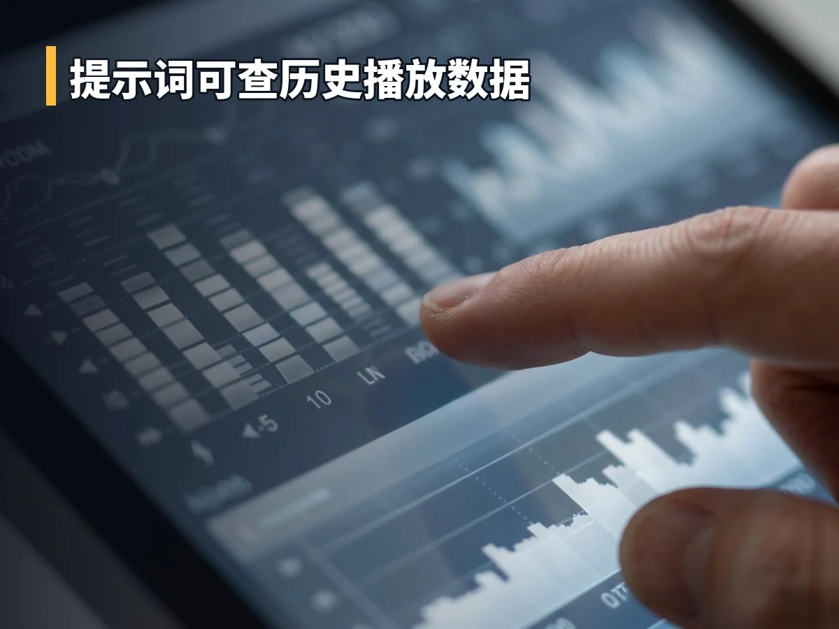提示词可查历史播放数据