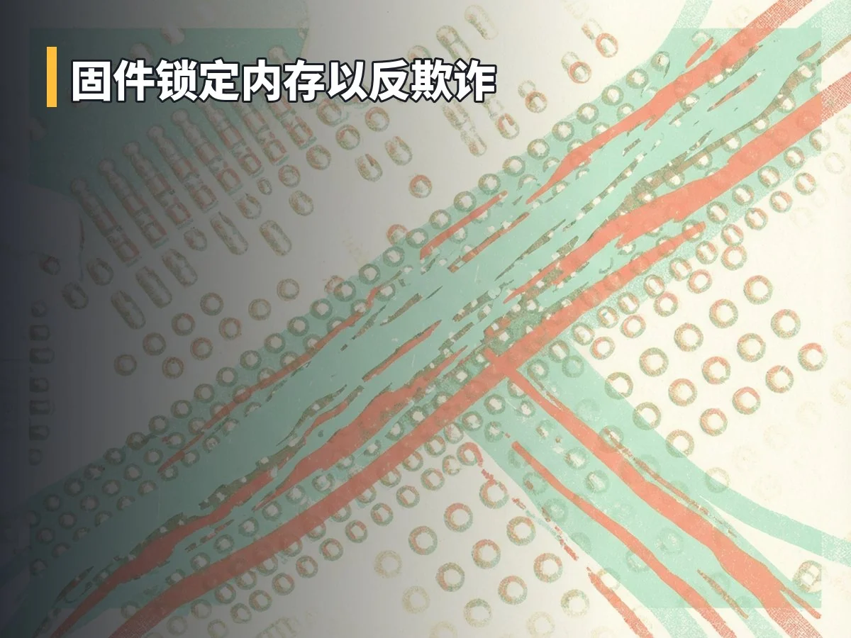 固件锁定内存以反欺诈