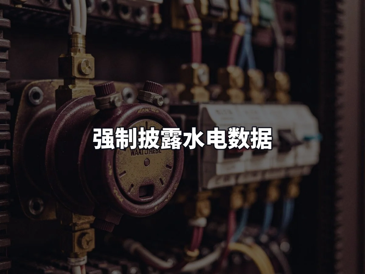 强制披露水电数据