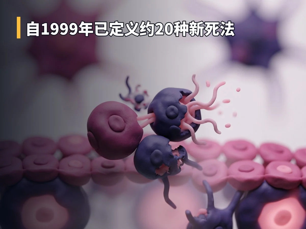 自1999年已定义约20种新死法
