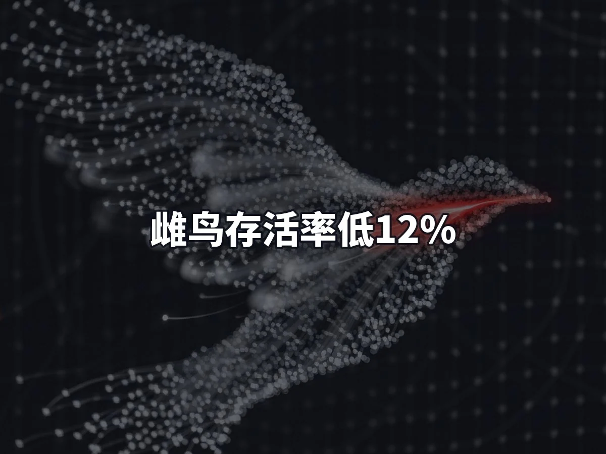 雌鸟存活率低12%