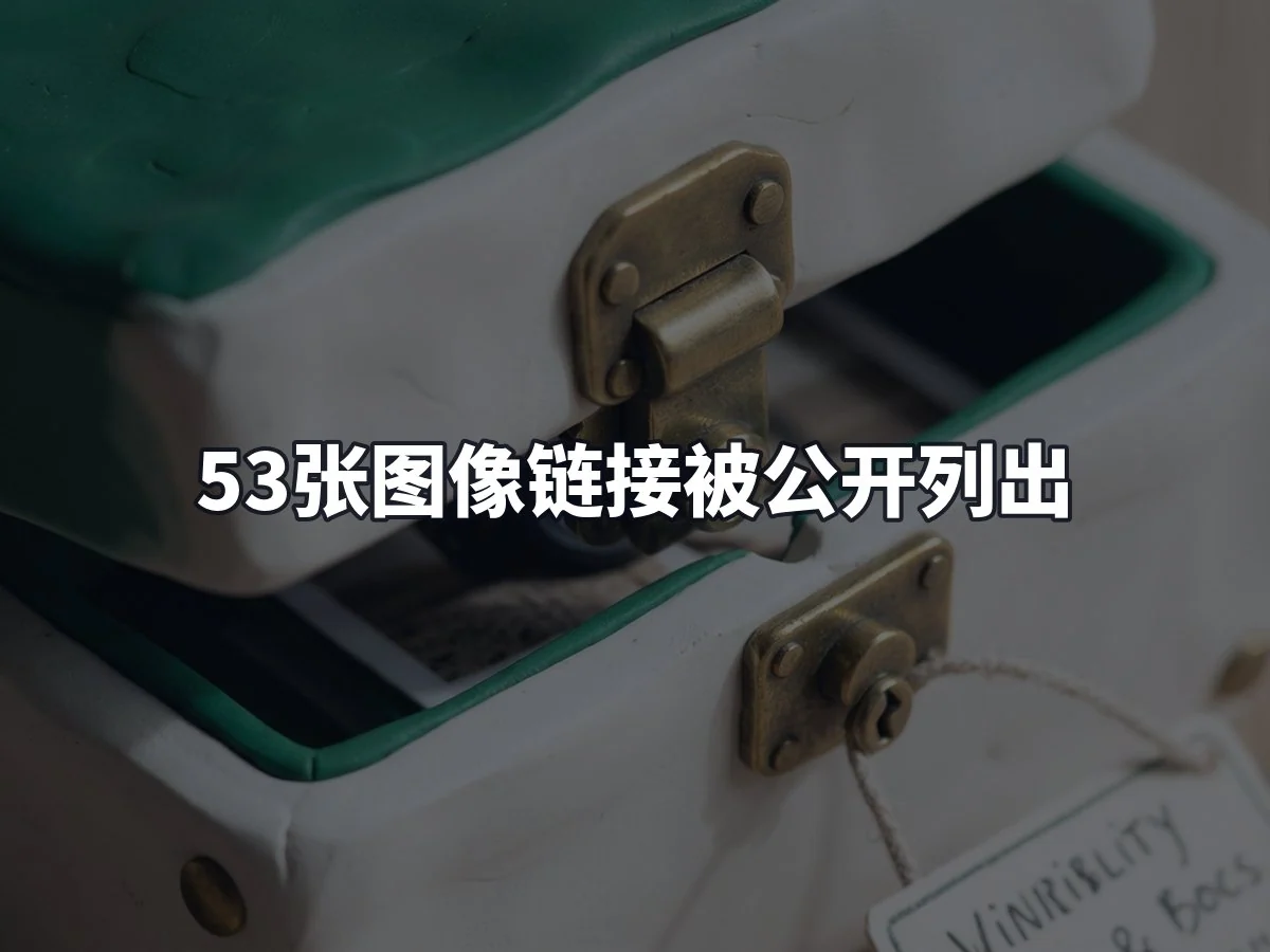 53张图像链接被公开列出