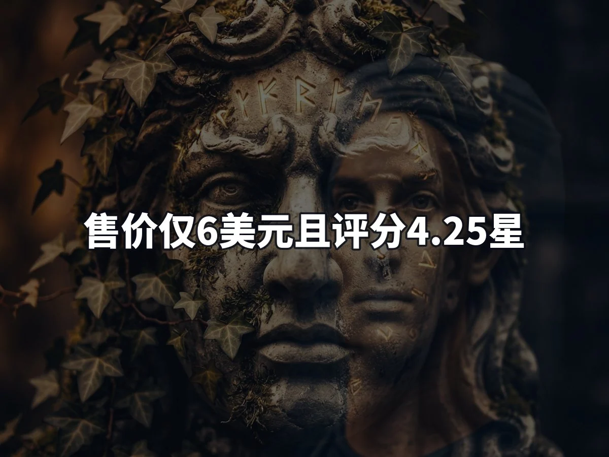 售价仅6美元且评分4.25星