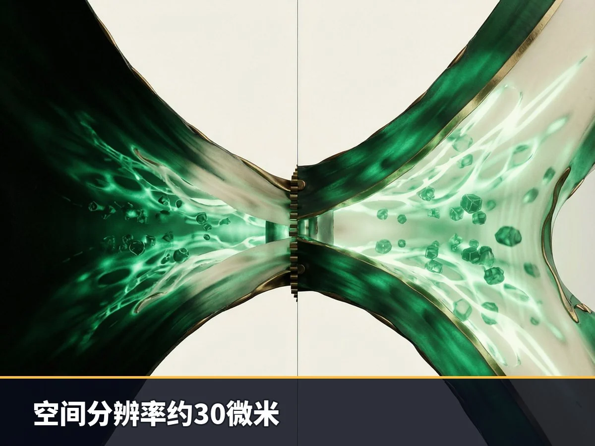 空间分辨率约30微米