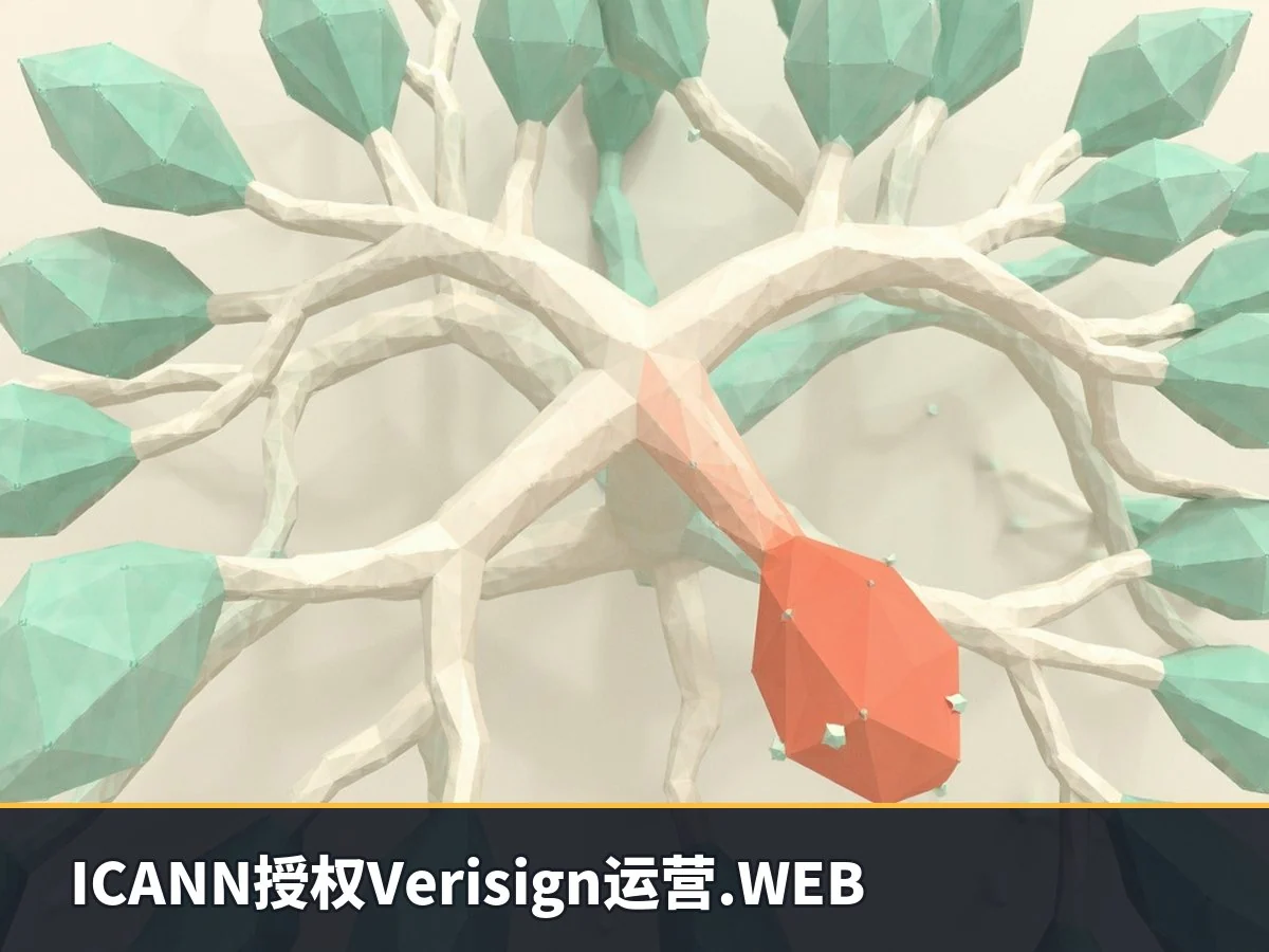 ICANN授权Verisign运营.WEB