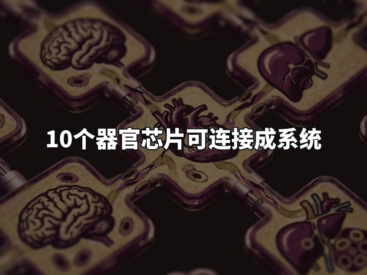 10个器官芯片可连接成系统