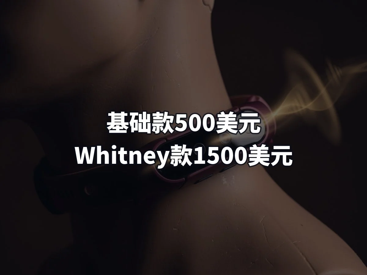 基础款500美元 Whitney款1500美元