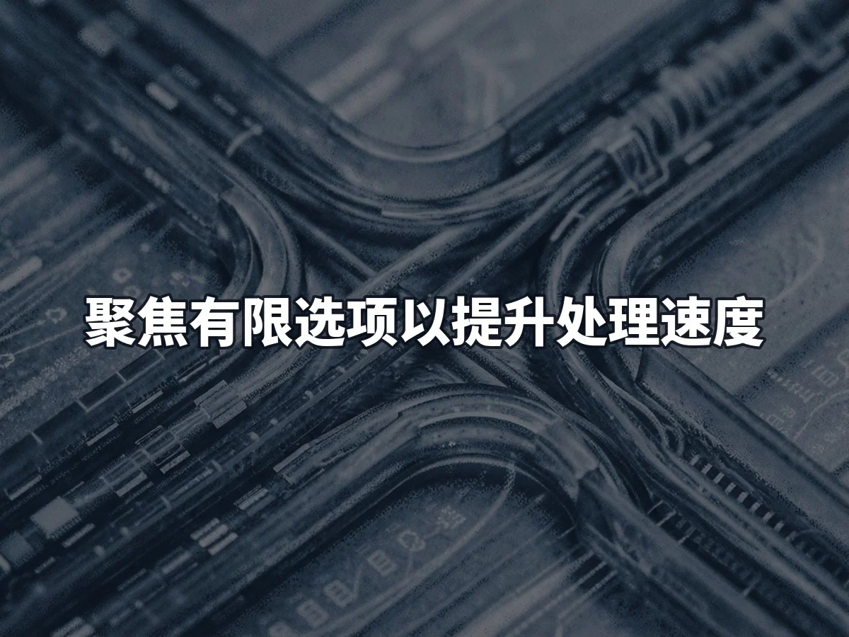 聚焦有限选项以提升处理速度