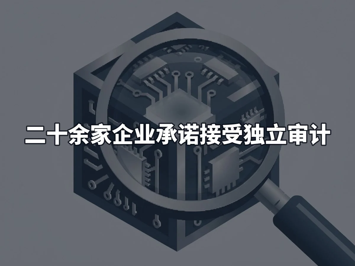 二十余家企业承诺接受独立审计