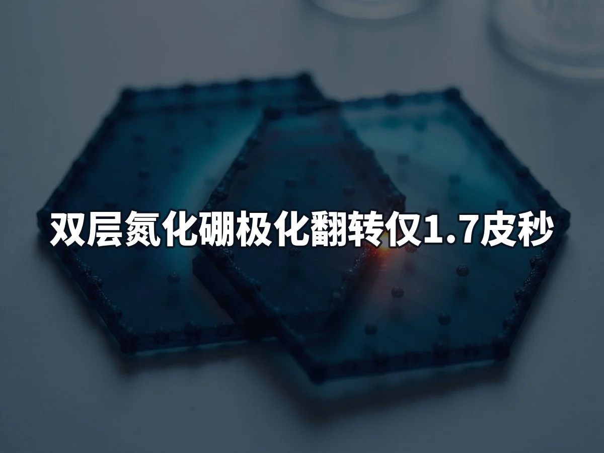 双层氮化硼极化翻转仅1.7皮秒