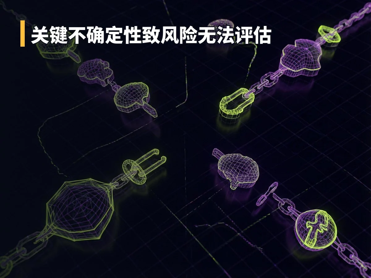 关键不确定性致风险无法评估