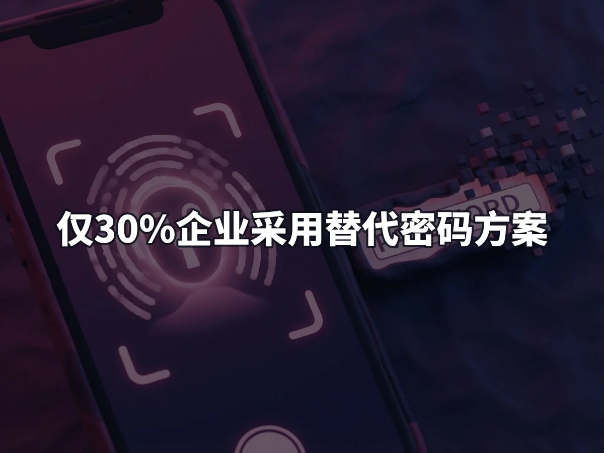仅30%企业采用替代密码方案