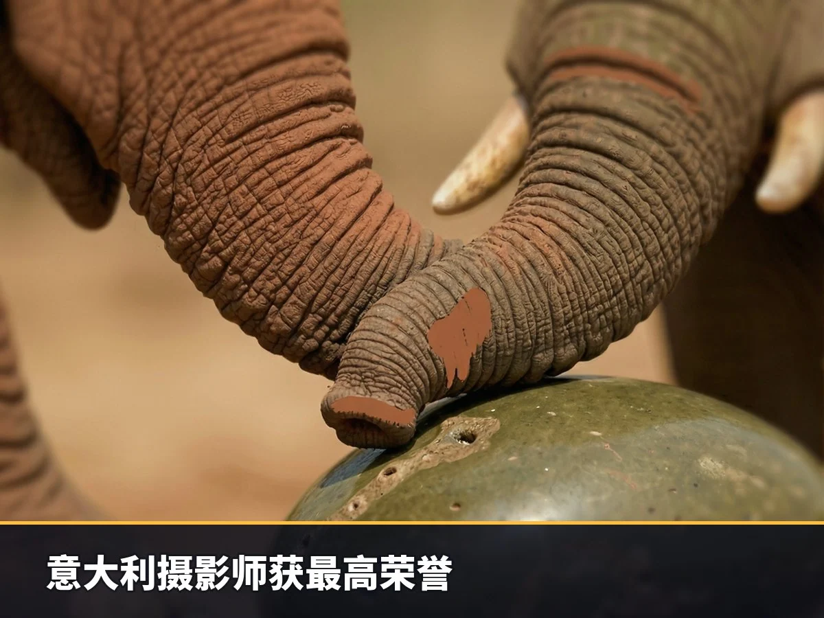 意大利摄影师获最高荣誉