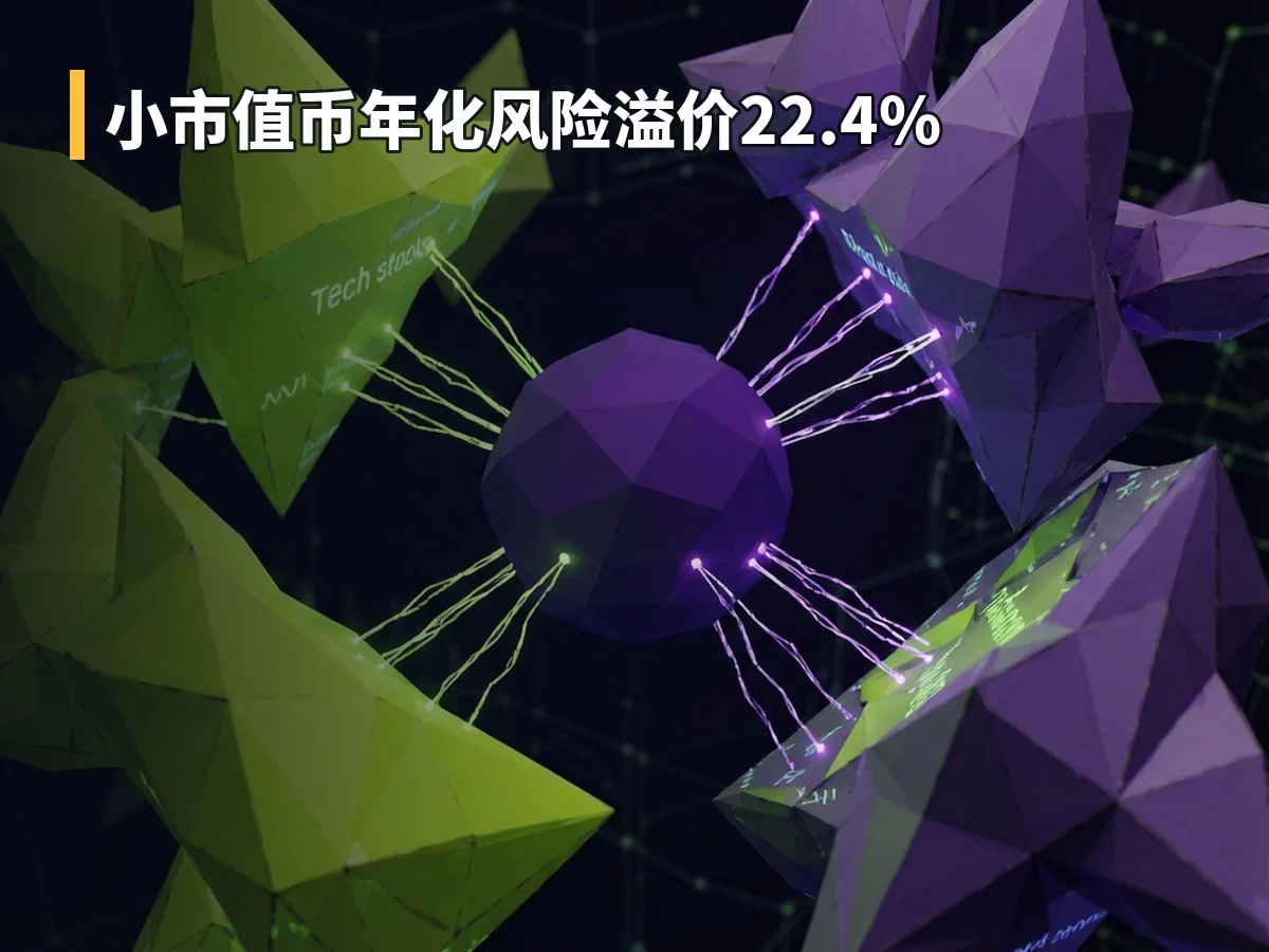 小市值币年化风险溢价22.4%
