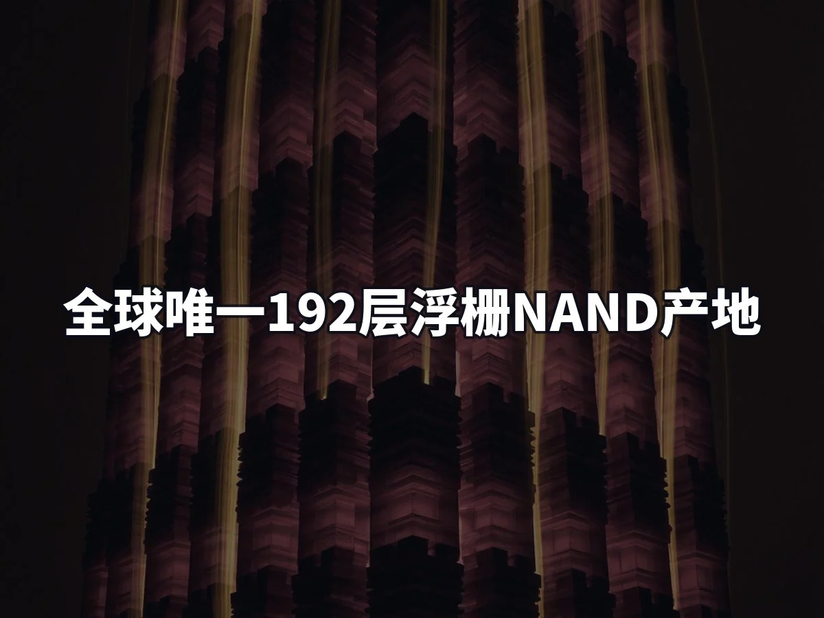 全球唯一192层浮栅NAND产地