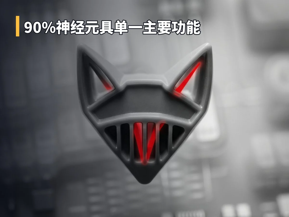 90%神经元具单一主要功能