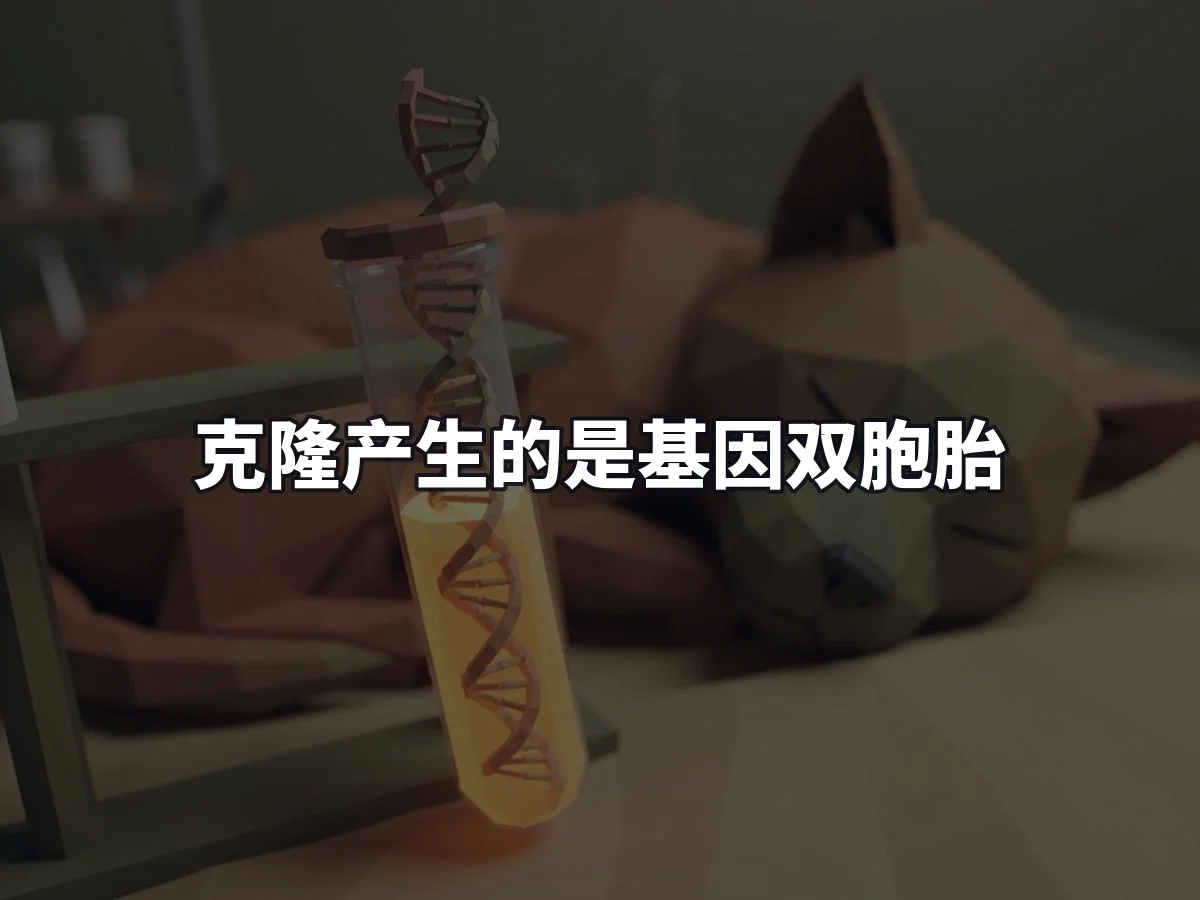 克隆产生的是基因双胞胎