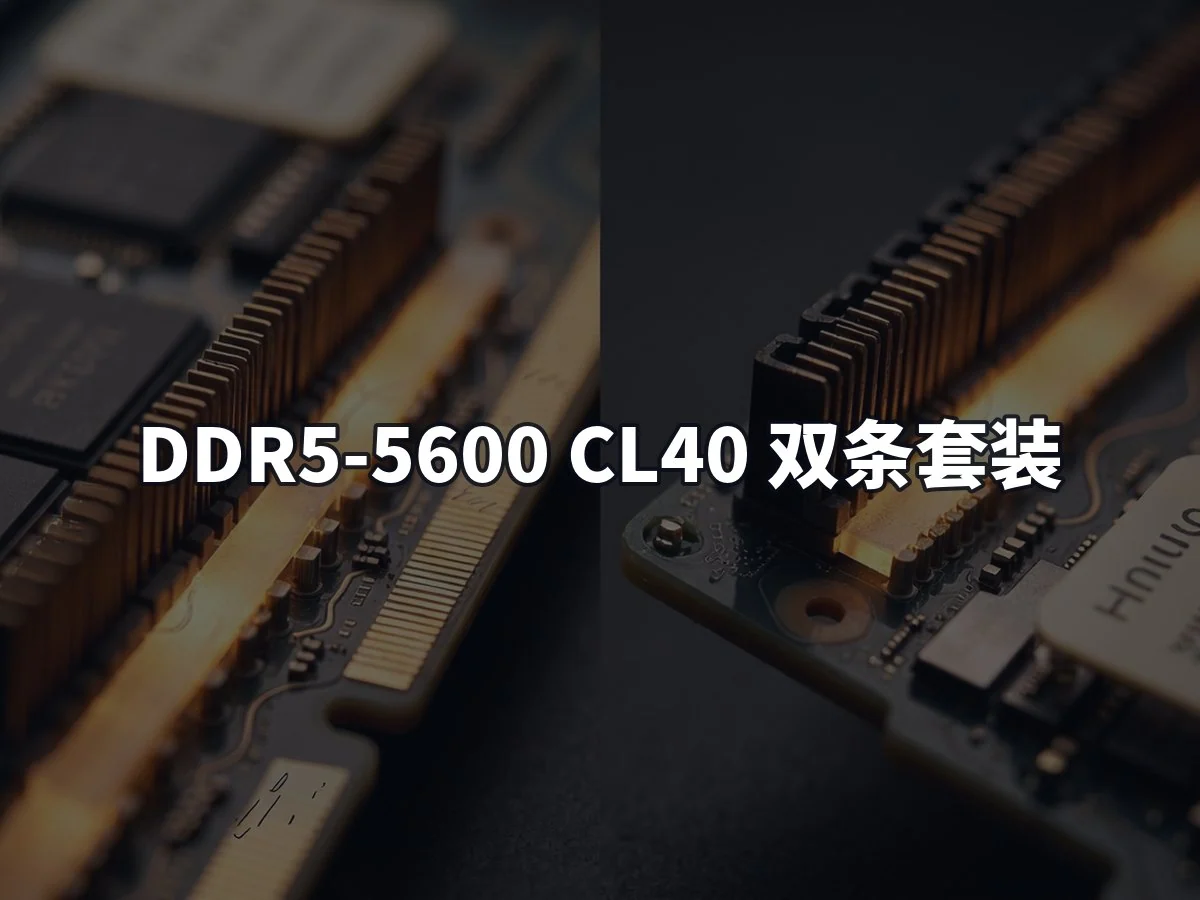 DDR5-5600 CL40 双条套装