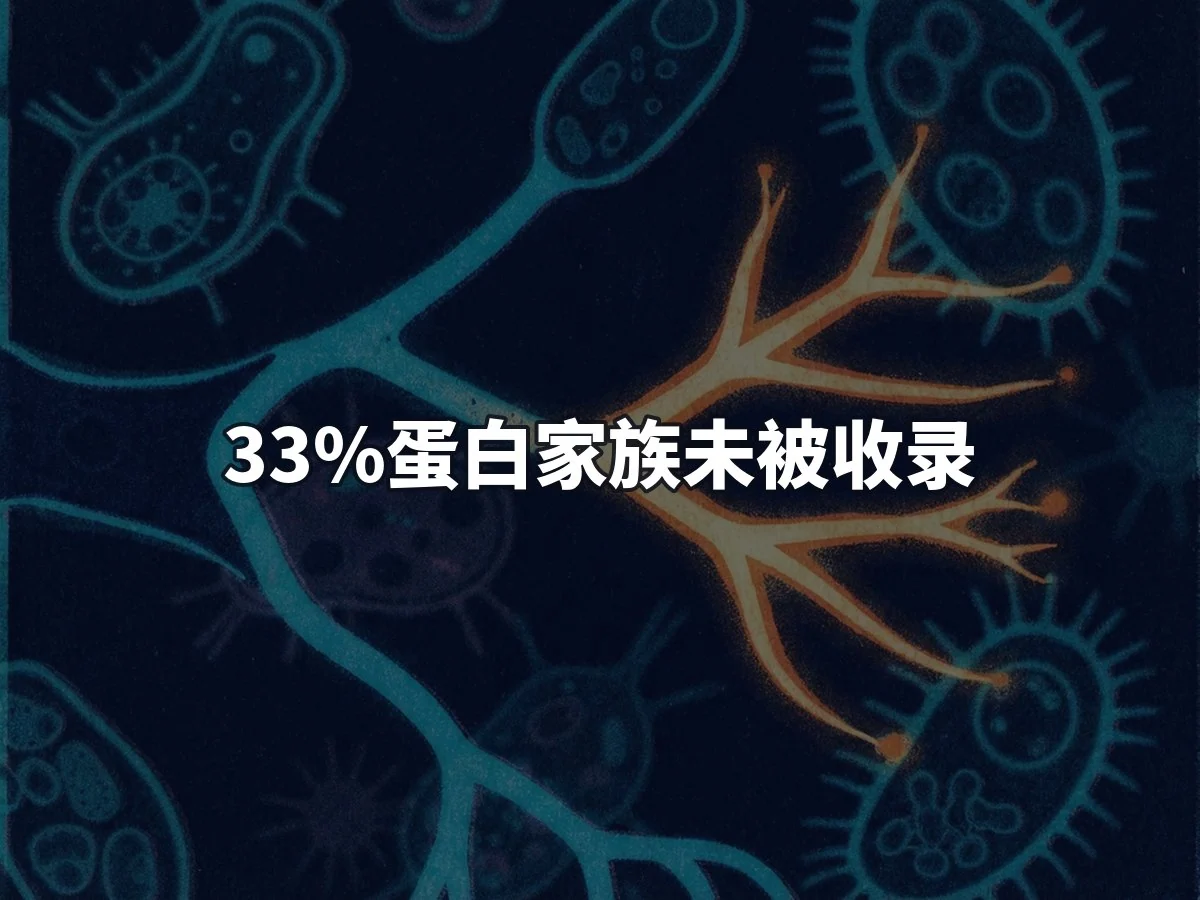 33%蛋白家族未被收录