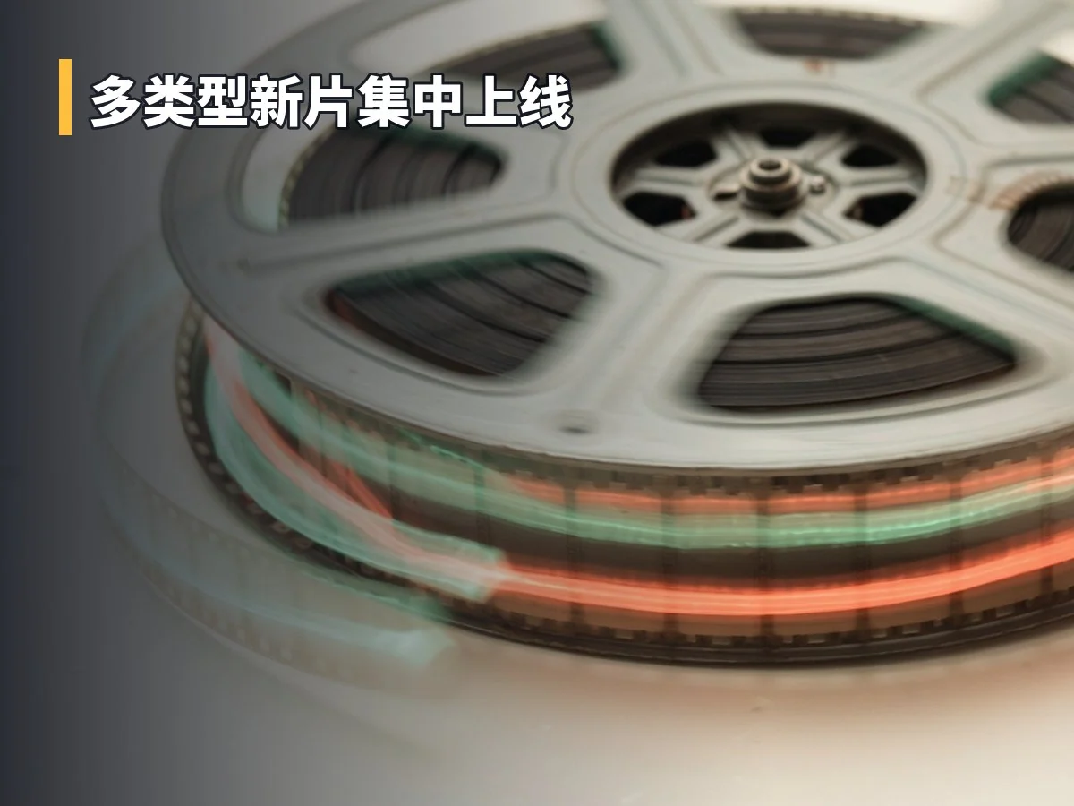 多类型新片集中上线