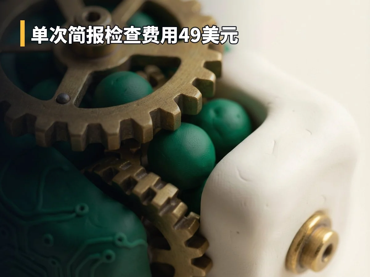 单次简报检查费用49美元