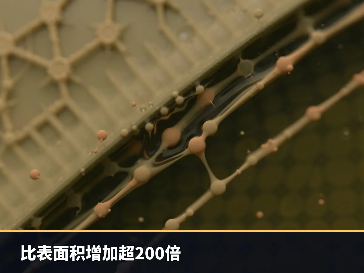 比表面积增加超200倍