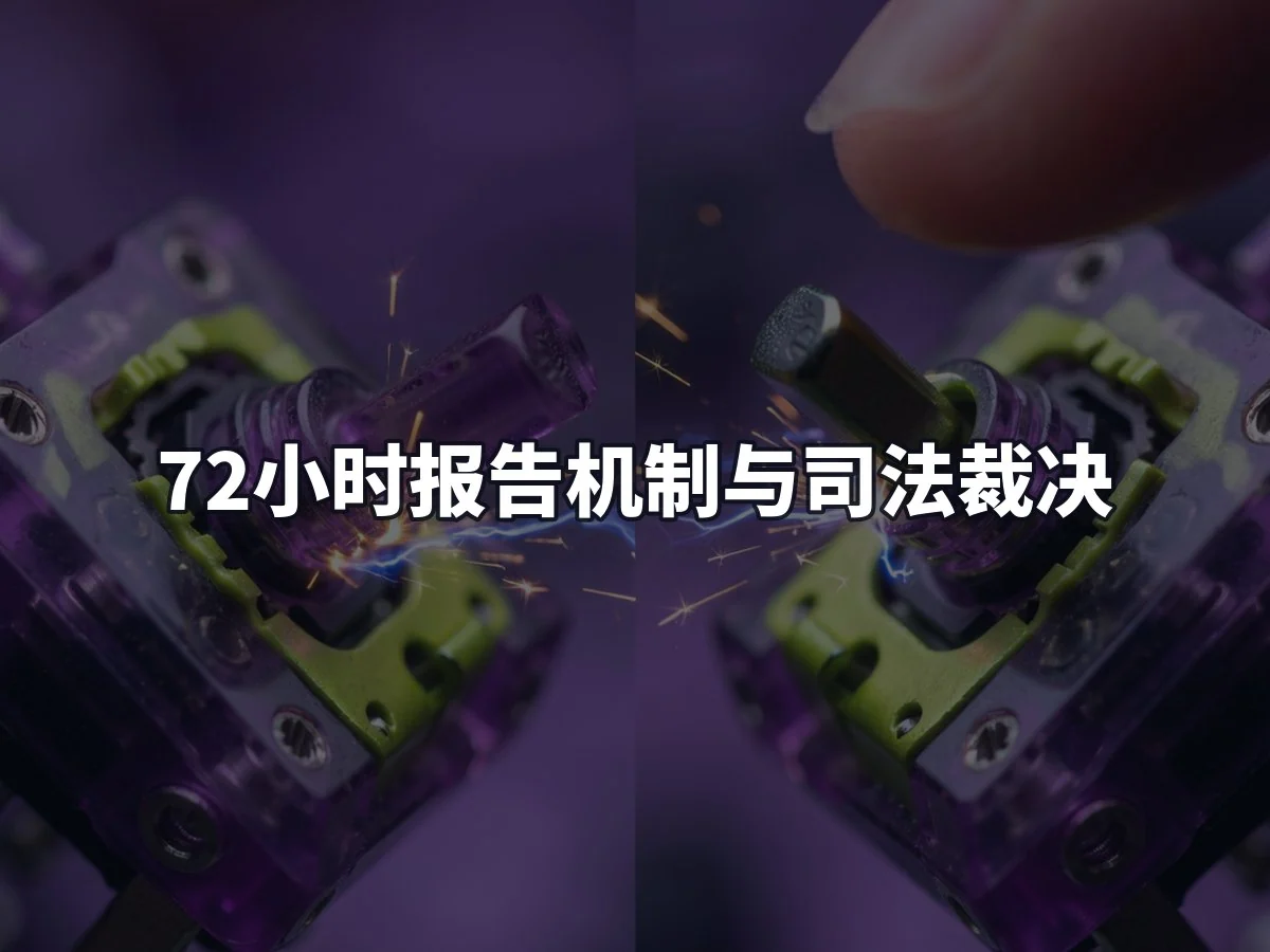 72小时报告机制与司法裁决