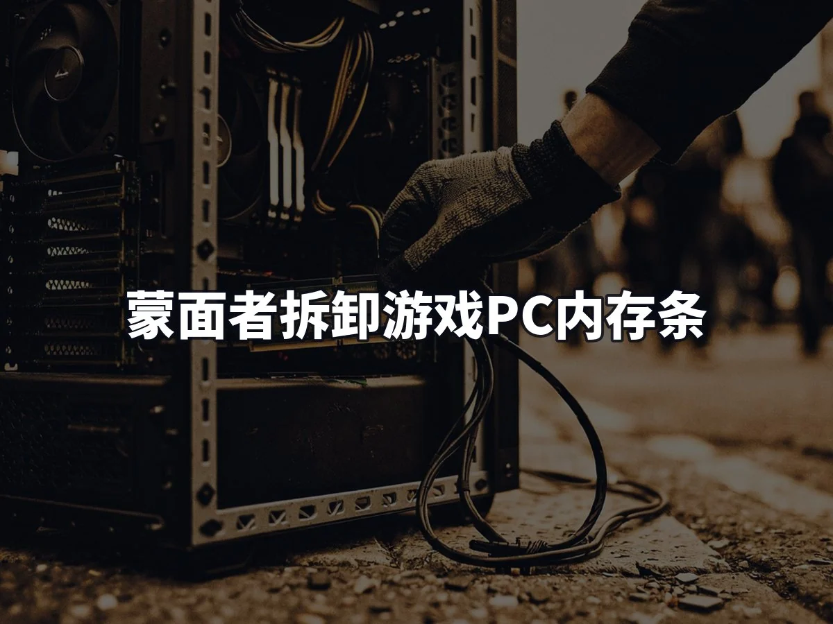 蒙面者拆卸游戏PC内存条