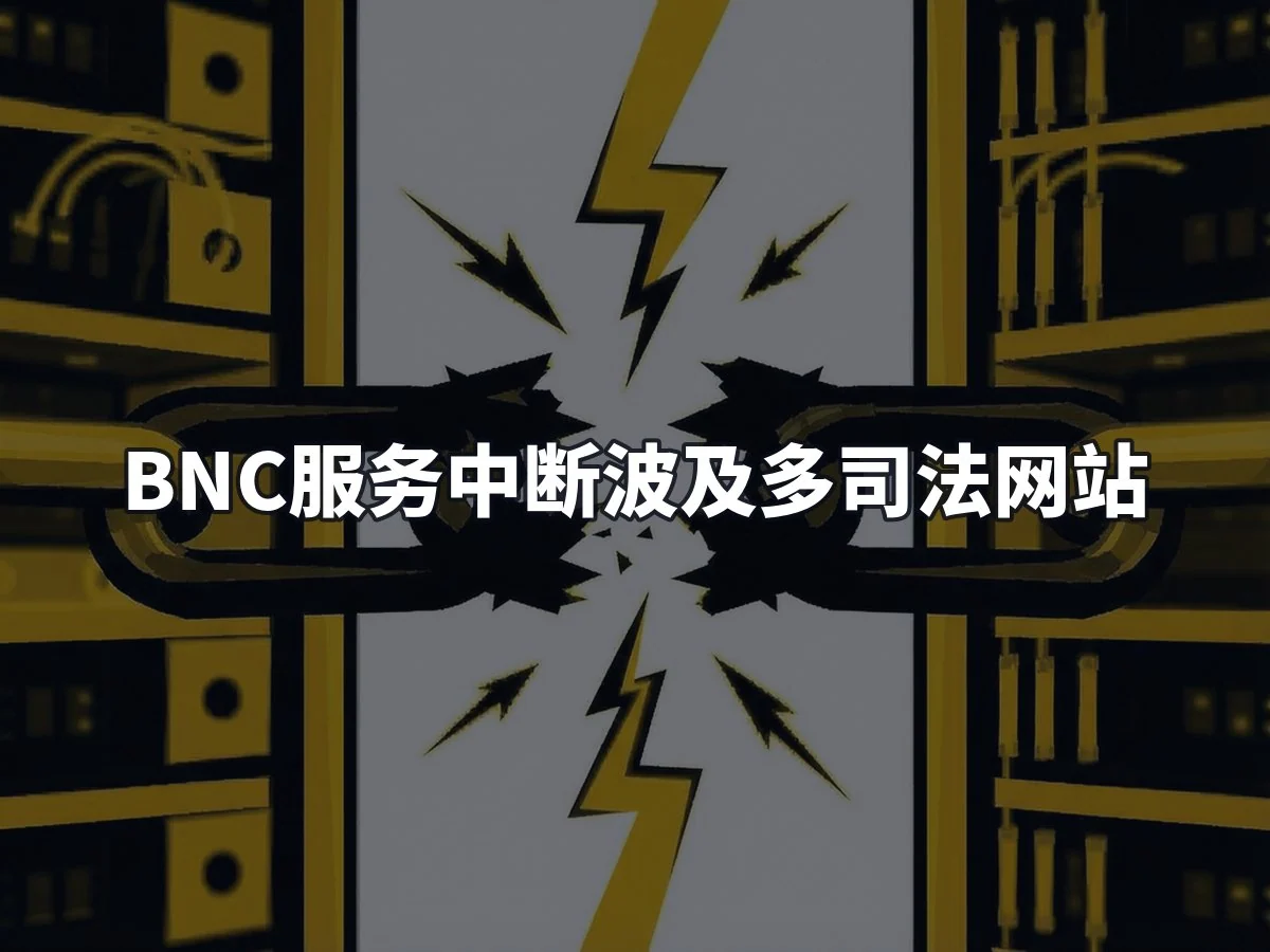 BNC服务中断波及多司法网站