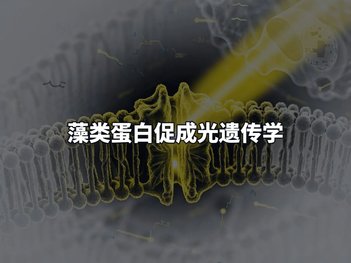 藻类蛋白促成光遗传学