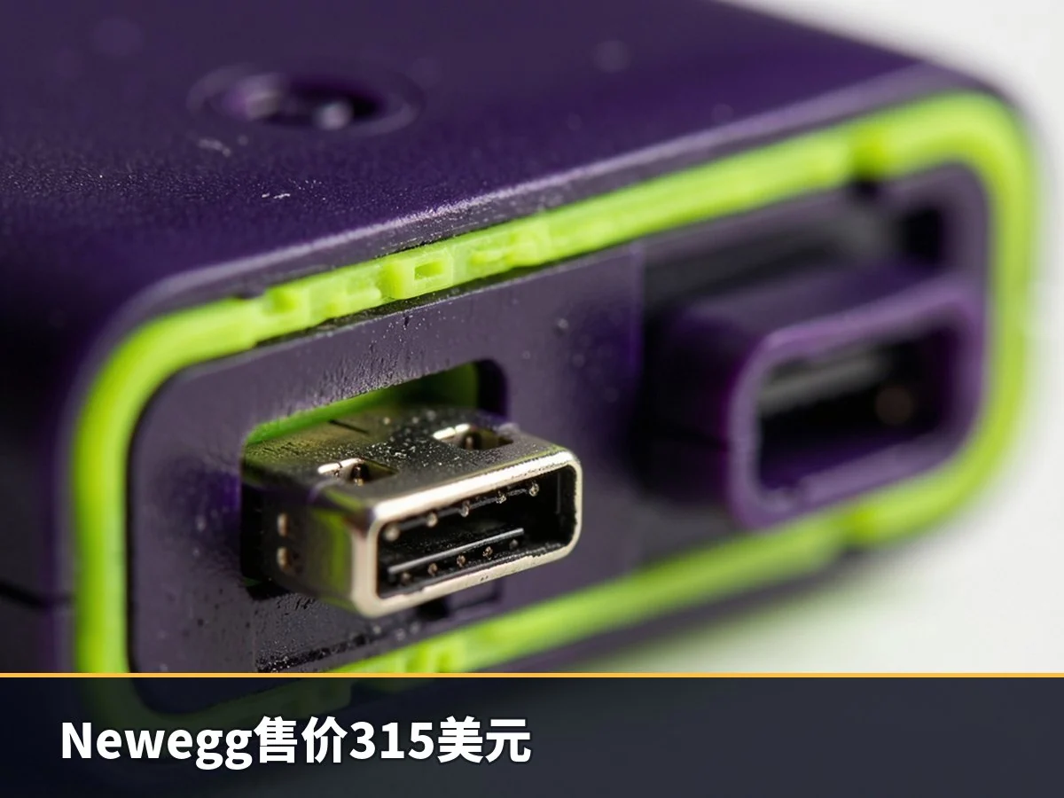 Newegg售价315美元