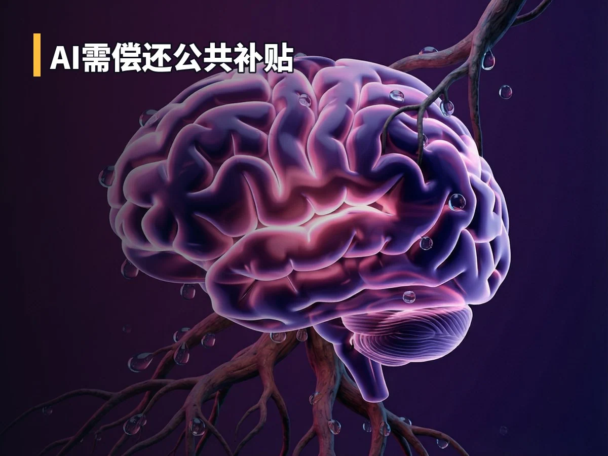 AI需偿还公共补贴