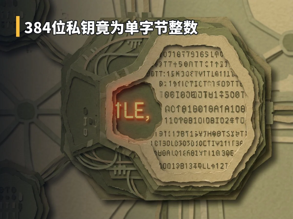 384位私钥竟为单字节整数