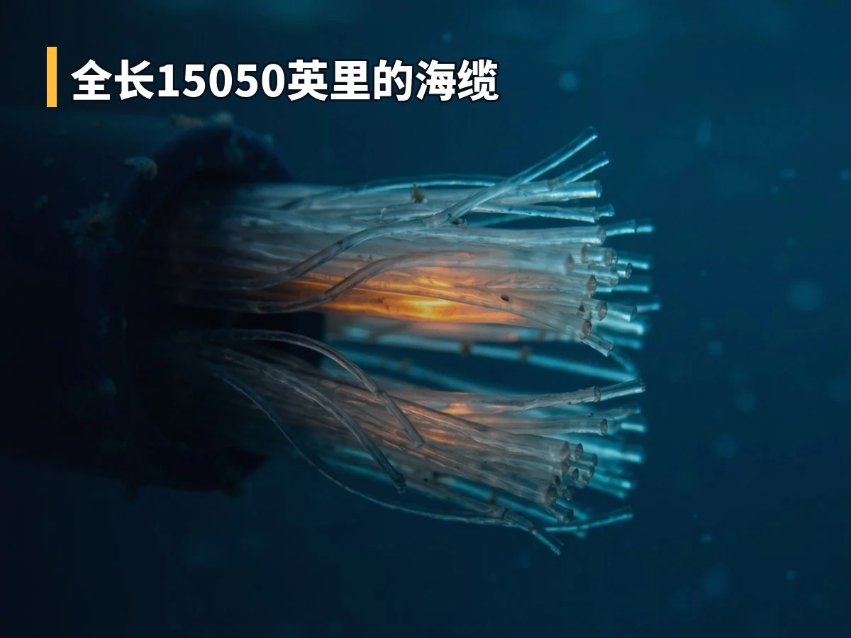 全长15050英里的海缆