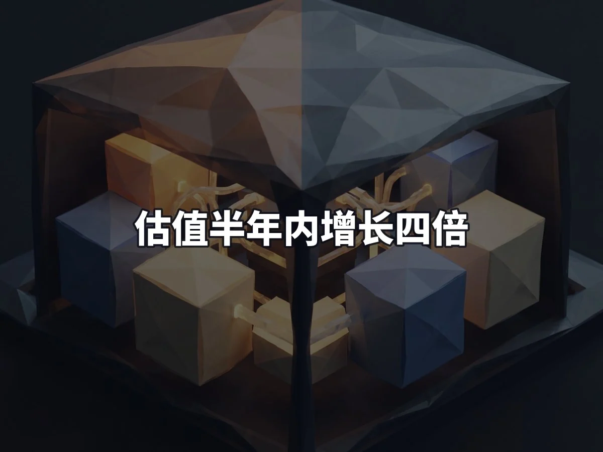 估值半年内增长四倍