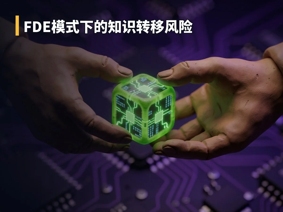 FDE模式下的知识转移风险