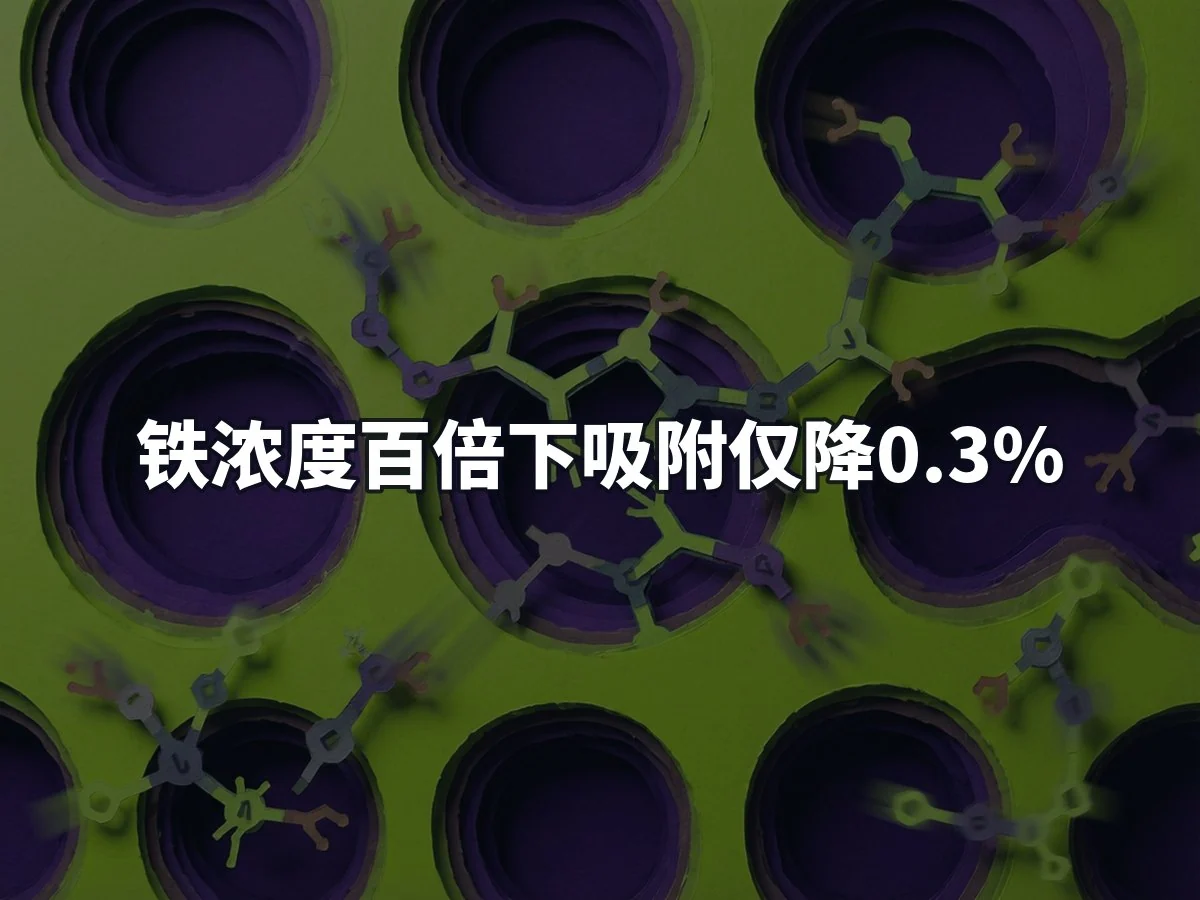 铁浓度百倍下吸附仅降0.3%