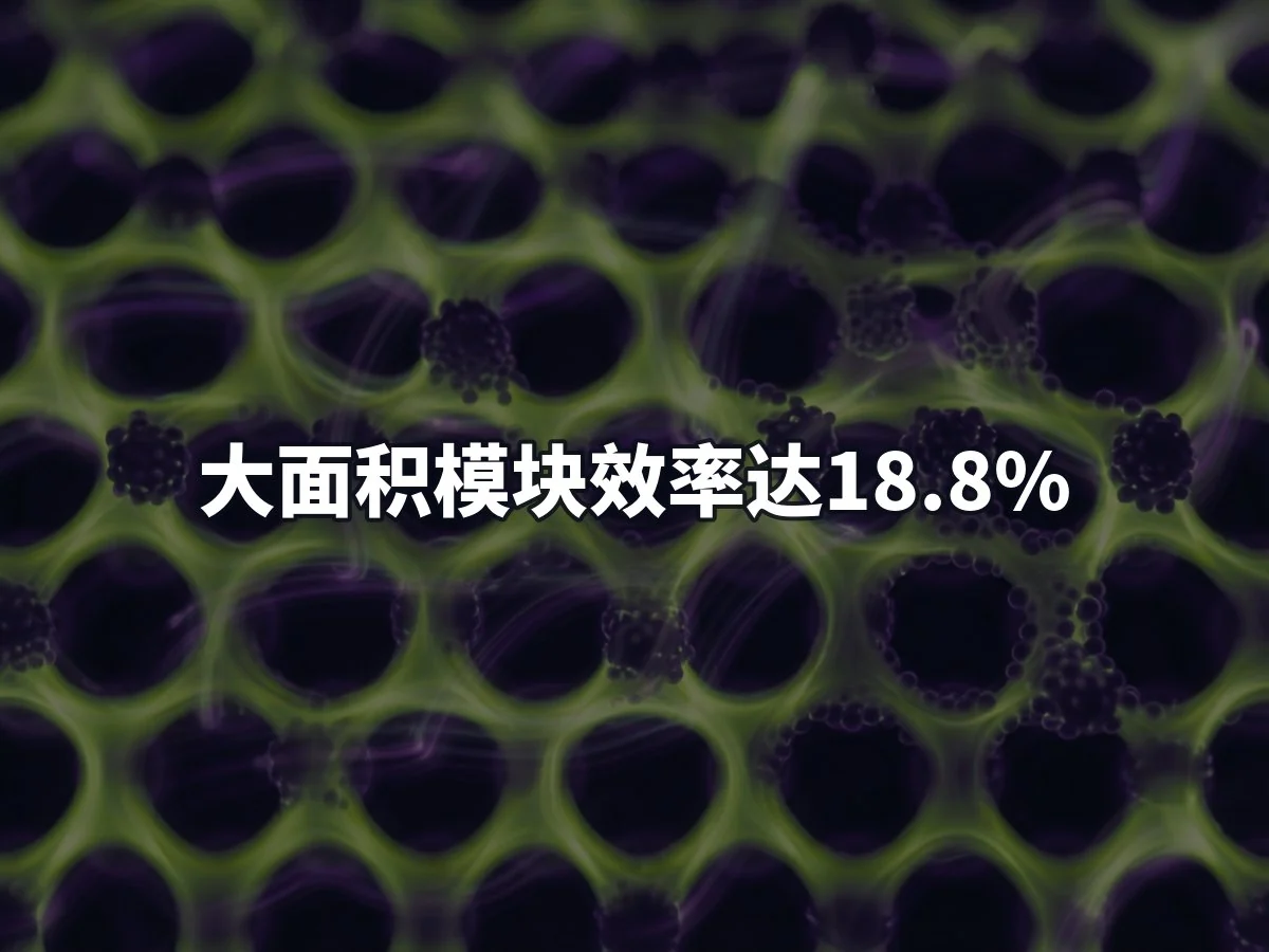 大面积模块效率达18.8%